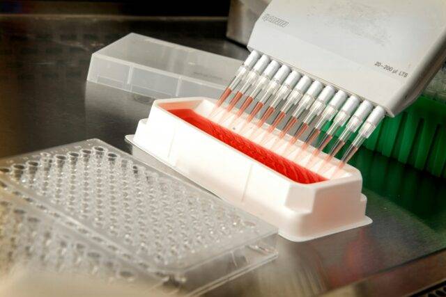 Healthcare - photo of a multichannel pipette